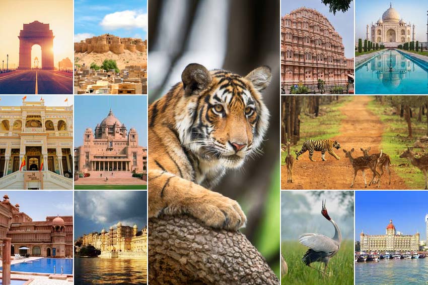>Delhi - Mandawa - Bikaner - Jaisalmer - Jodhpur - Udaipur - Jaipur - Ranthambore - Agra - Bandhavgarh National Park - Kanha National Park - Mumbai Tour