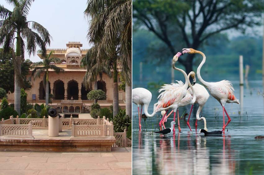 Bharatpur Travel Destination