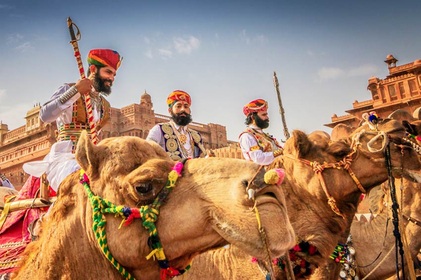 Bikaner Camel Festival