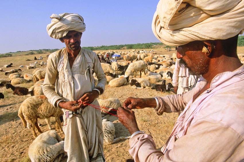 Jawai Offbeat Destination, Rajasthan