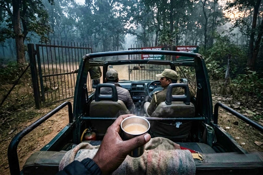 Madhya Pradesh wildlife safari guide for Kanha Bandhavgarh Pench Panna Satpura tiger reserves