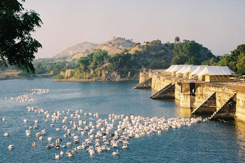 Nimaj Offbeat Destination, Rajasthan
