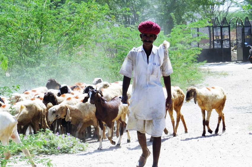 Raipur Offbeat Destination, Rajasthan