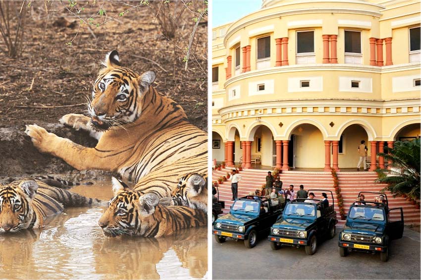 Sariska Day Tour