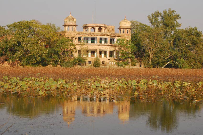 Van Vihar Wildlife Sanctuary, Dholpur